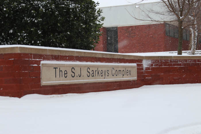 Sarkeys in the Snow